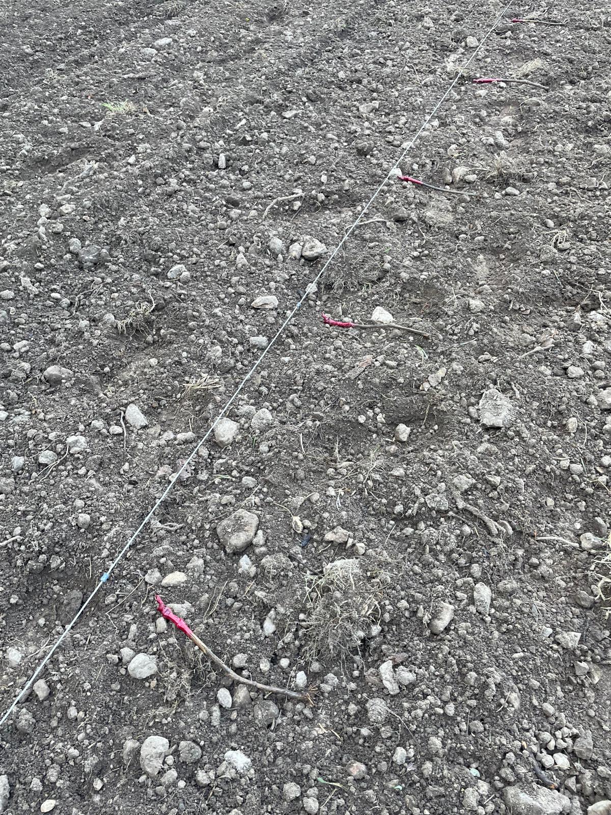 0c1312e9 b444 4faa bc56 df15a164019e