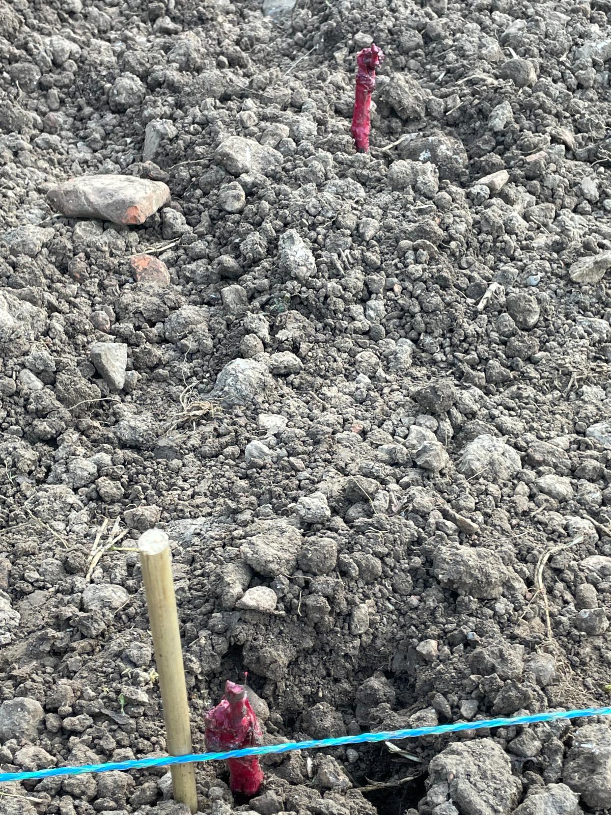 692f48be 923d 486c 80f2 6780dfe47560