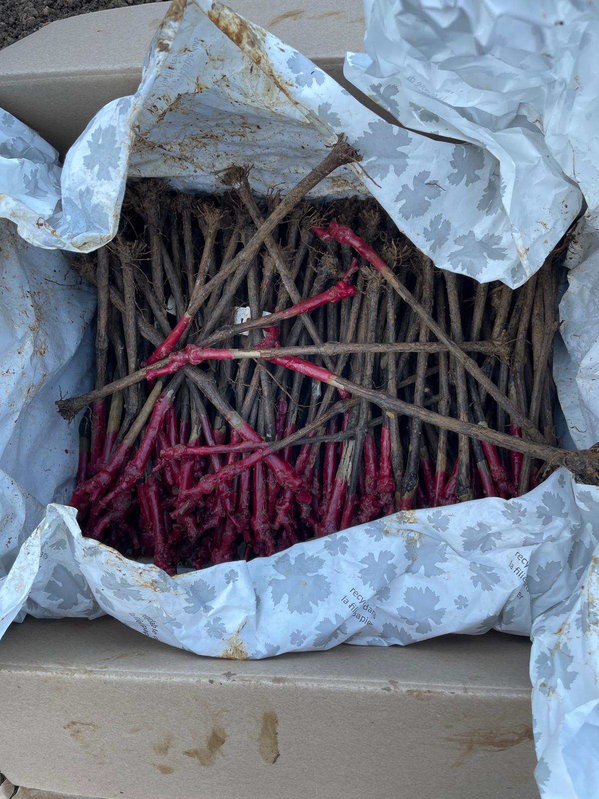 76adb791 9a67 4982 808a 43bcea8b7916