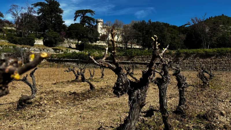 laprovence article